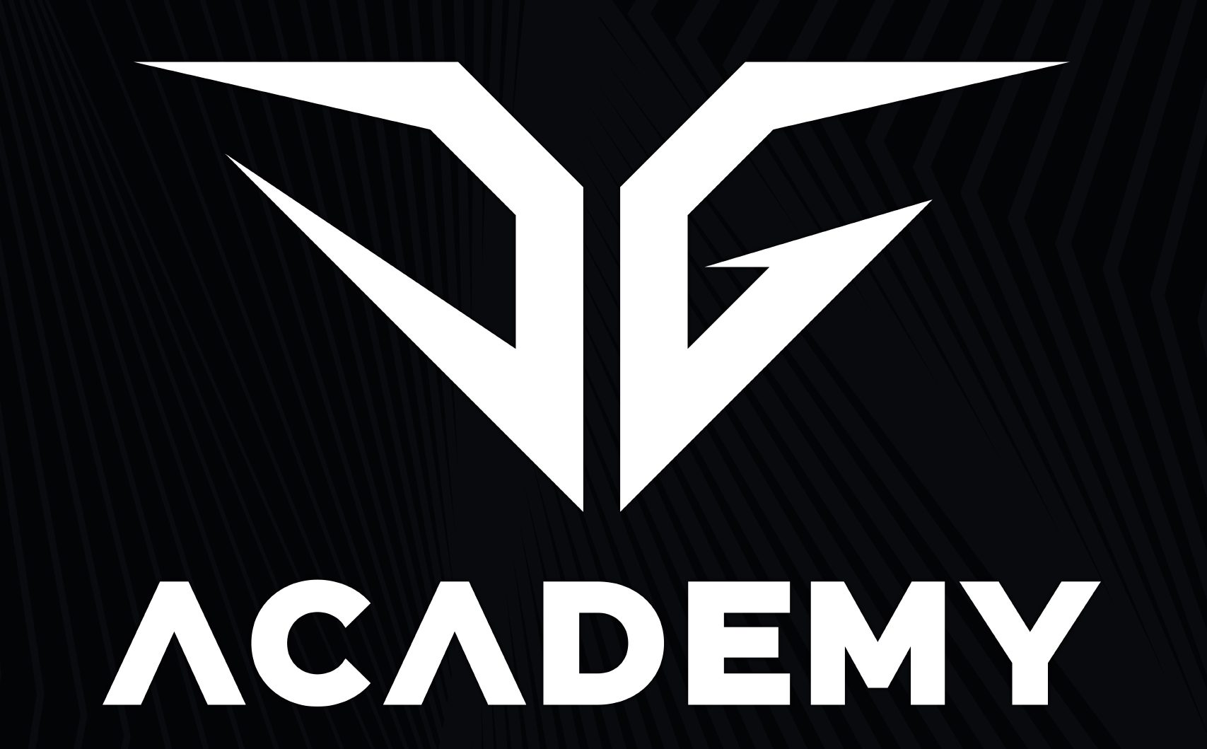 dgacademy.ee